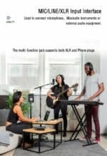 Comfortable home recording studio with musicians using microphones, guitar, keyboard, and headphones, ideal for music production and vocal recording.